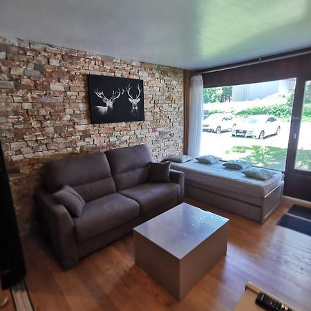 Boost Your Immo Les Deux Alpes Olympe 495 Екстер'єр фото